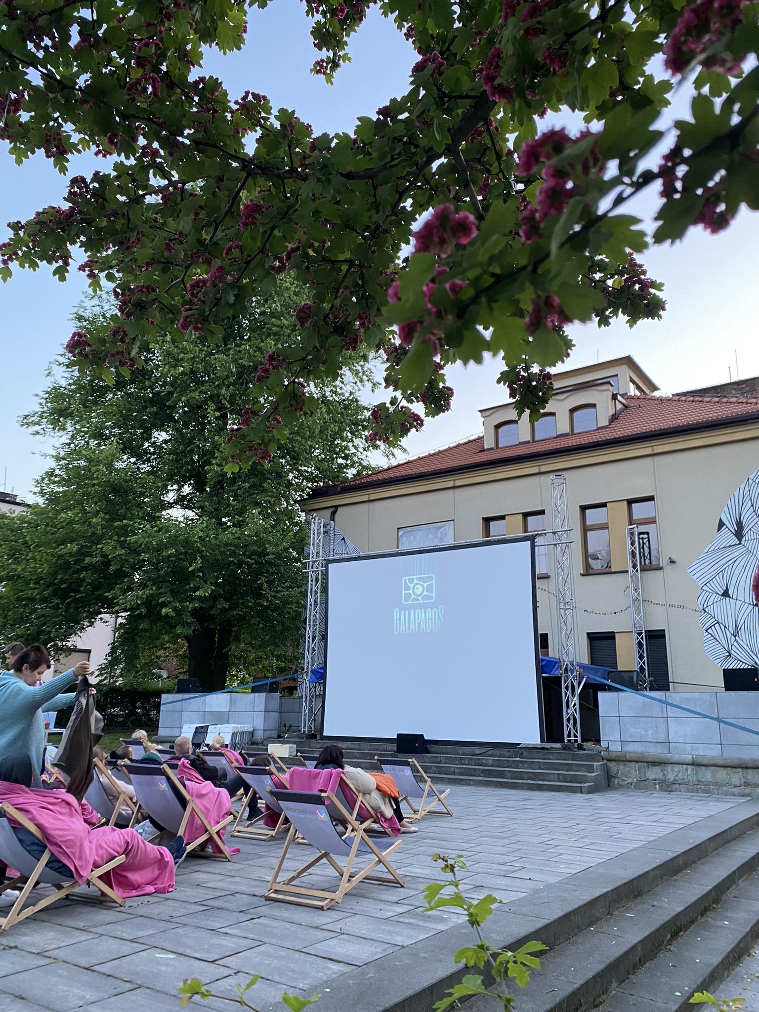 Nowe FreeLove KULTURA TYCHY PL